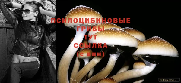 амф Приозерск