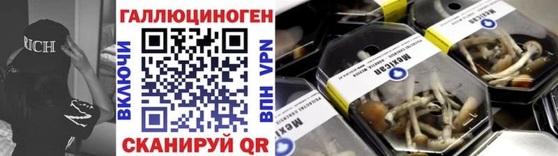 Галлюциногенные грибы мицелий  Новокубанск 
